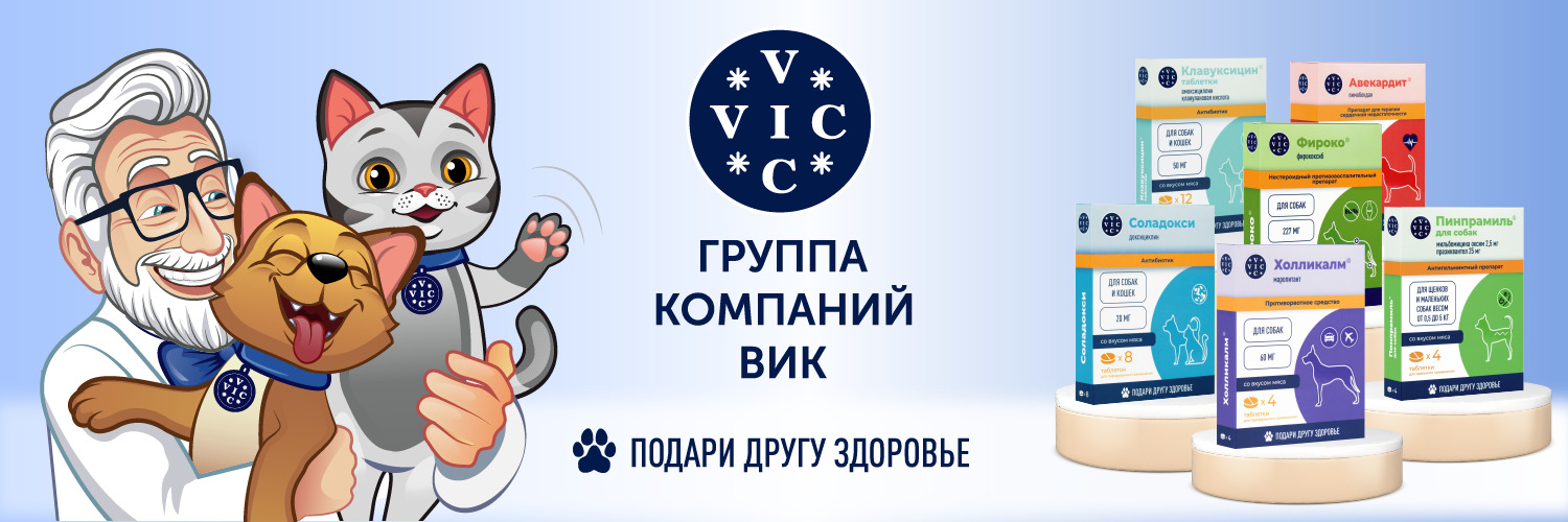 ВИК
