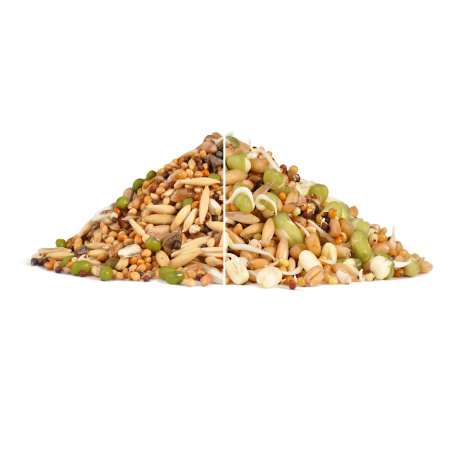 РИО Набор д/ПРОРАЩИВАНИЯ д/всех видов.птиц 25г 1*9