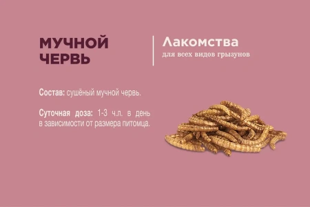 Лак-во Little One Мучной червь./банка Лакомство д/всеядных грызунов*6