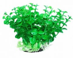 Уют Растение аквариумное, 12 см, Бакопа зеленая, (1х180шт)