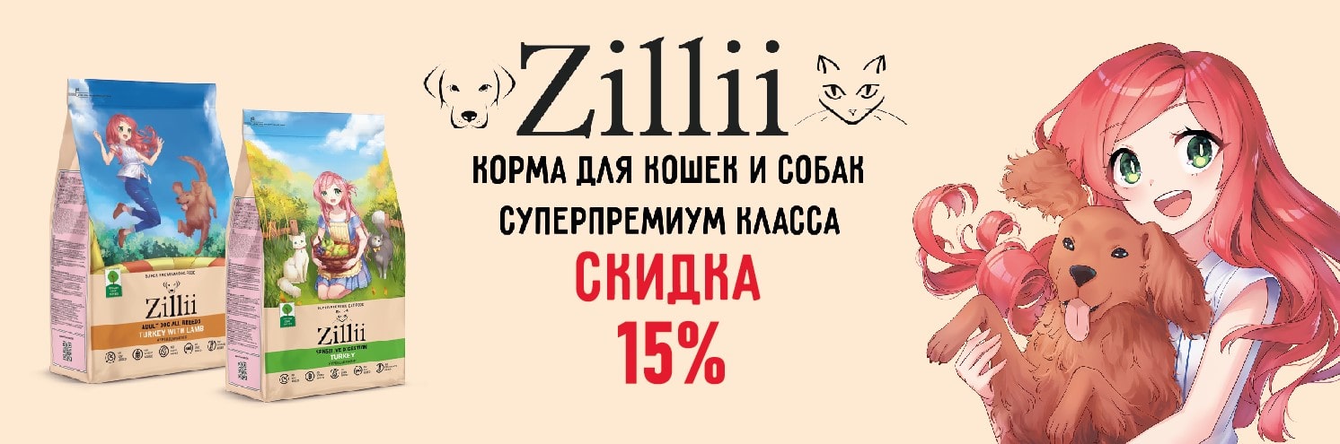 КиберЯрмарка Зилли15%