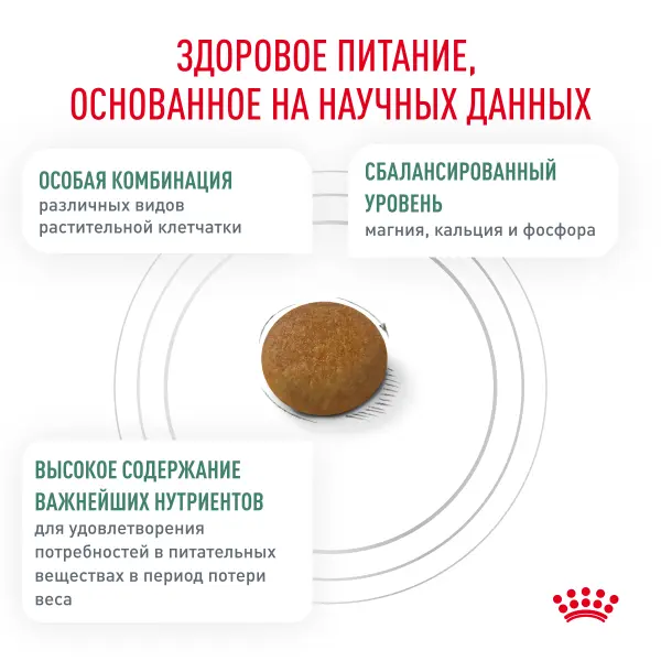 Корм для собак Royal Canin оптом. 