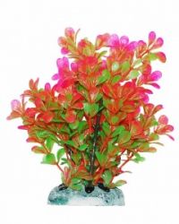 Уют Растение аквариумное, Людвигия розово-зеленая, 20 см, 1*100