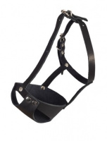 Намордник кожаный цельнокроеный для мелких пород собак (французский бульдог) цвет в ассортименте