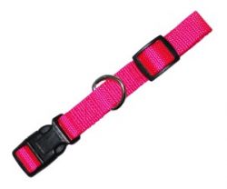 УЮТ Ошейник 1.6х30-45 см нейлоновый цветной 1х12шт