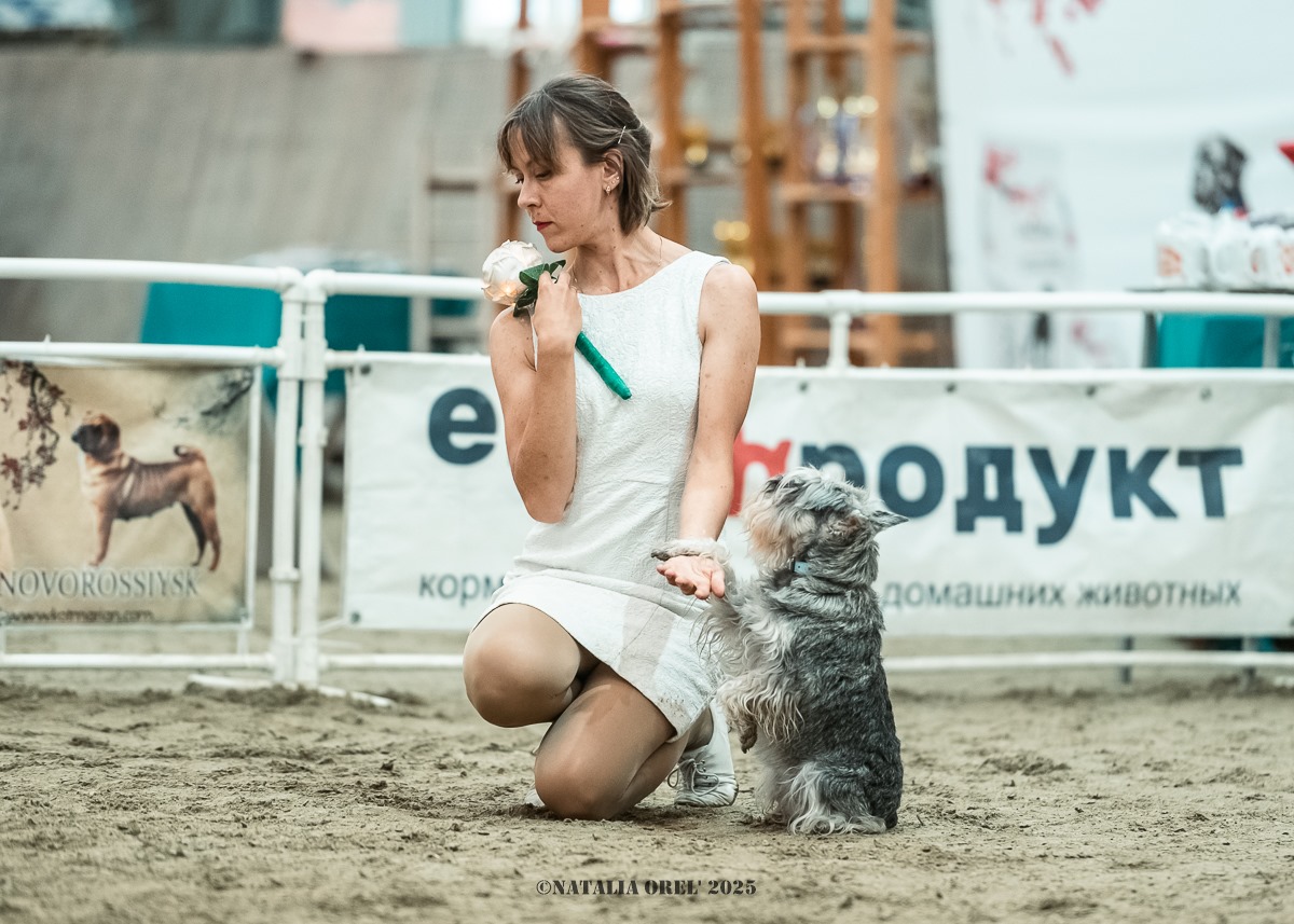 ООО «Евро-Продукт» - спонсор выставки ККОО «КШДПР СЛУЖЕБНЫХ СОБАК» ООО «Евро-Продукт» - спонсор выставки ККОО «КШДПР СЛУЖЕБНЫХ СОБАК»