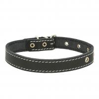 Ошейник 25 кож.щенячий шир.25мм,обхв.39-51см