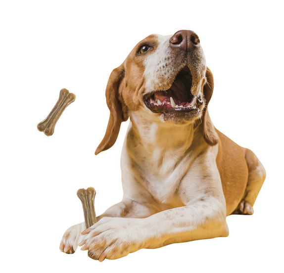 Корм для собак Делика Чойс оптом. 