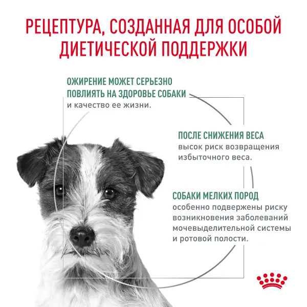 Корм для собак Royal Canin оптом. 