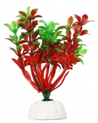 УЮТ Растение аквариумное, 10 см , Гемиантус красно-зеленый, (1х700 шт)