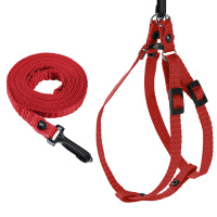 Шлейка + поводок д/к капрон быстросьемная 12мм цвет в асс.