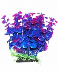 Уют Растение аквариумное, 12 см , Бакопа сине-фиолетовая, (1х150шт)