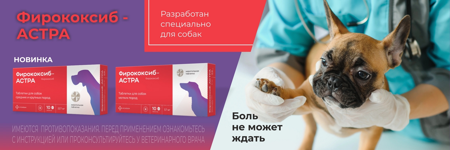 Новинка от Астрафарм - Фирококсиб-АСТРА Новинка от Астрафарм - Фирококсиб-АСТРА