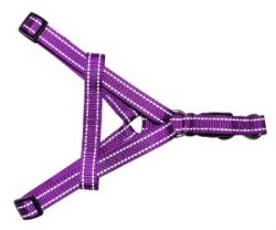 УЮТ Шлейка 1,6х30-51 см нейлоновая цветная 1х12шт