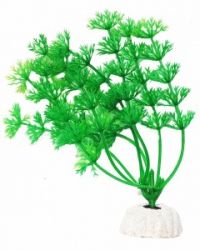 УЮТ Растение аквариумное, 10 см, Амбулия зеленая, (1х700 шт)