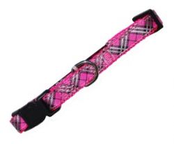 УЮТ Ошейник 1.0х20-31 см орнамент, двойная тесьма 1х12шт разные цвета