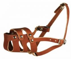 Намордник кож.цельнокроенный д/спаниеля