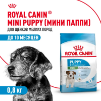 Корм для собак Royal Canin оптом. 