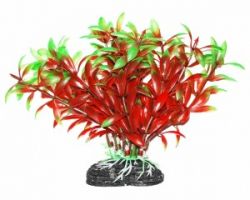 УЮТ Растение аквариумное, 11 см, Людвигия красно-зеленая, (1х280 шт)