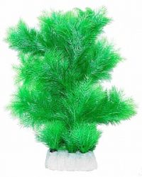 Уют Растение аквариумное, Маяка зелено-салатная, 32 см, 1*70