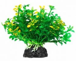 УЮТ Растение аквариумное, 11 см, Микрантемум зелено-желтый, (1х320 шт)