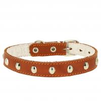 Ошейник 35 кож. с украш. с синтеп.(шир.35мм обхв.50-6\70см)
