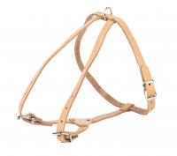 Шлейка "М"  35-57см*12мм Бесцветная