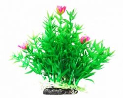 Уют Растение аквариумное 12 см, Гемиантус с розовыми цветами, (1х180шт)