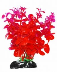 УЮТ Растение аквариумное, 11 см , Бакопа оранжево-фиолетовая,(1х280 шт)