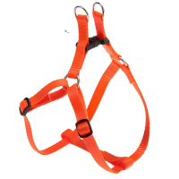 Шлейка EASY EхSmall для собак оранж.