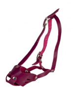Намордник кожаный цельнокроеный для мелких пород собак (йоркширский терьер) цвет в ассортименте
