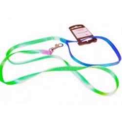 Поводок CLUB G10/120 COLOU. зеленый