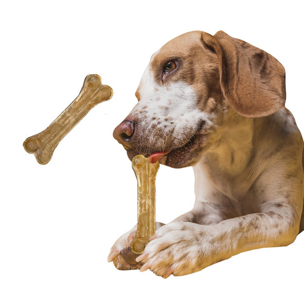 Корм для собак Делика Чойс оптом. 