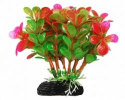 УЮТ Растение аквариумное, 11 см, Бакопа зелено-розовая, (1х180 шт)