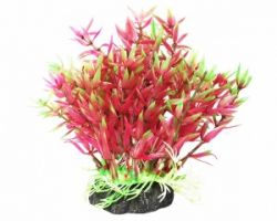 Уют Растение аквариумное, 12 см, Гемиантус фиолетово-зеленый, (1х150шт)