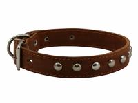 Ошейник 25 кож.двойн.с украш.(шир.25, обхв.43-51)(