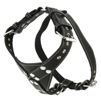 Шлейка кожаная "с треугольником"однос..шир. 25мм шея 44-60см,гр.69-77