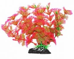 УЮТ Растение аквариумное, 11 см, Амбулия розово-зеленая, (1х250 шт)