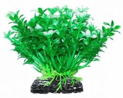 УЮТ Растение аквариумное, 11 см , Микрантемум зелено-белый, (1х320 шт)