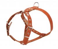 Шлейка №0 68-82смx25мм Коньячная