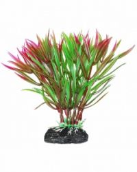 УЮТ Растение аквариумное, 11 см, Гетерантера зелено-фиолетовая, (1х320 шт)