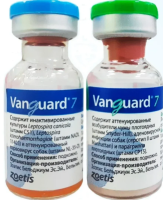 Вангард 7L против чумы,инфек.гепат,аденов.инф.парагр.парво.лептос1*2фл (хол) (до 05.2027г)