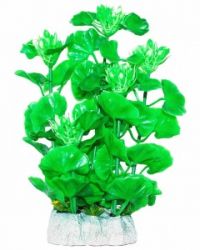 Уют Растение аквариумное, Хедизариум зеленый с бутонами, 24 см, 1*70
