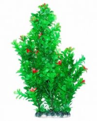 Уют Бакопа с красными цветами, 44 см, Растение аквариумное 1*36