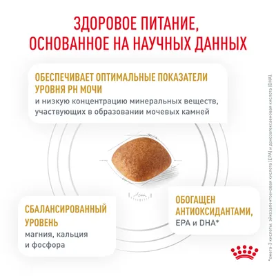 Корм для собак Royal Canin оптом. 