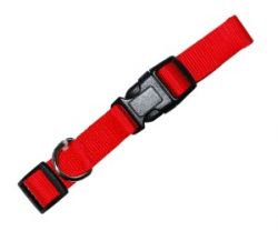 УЮТ Ошейник 1.9х35-50 см нейлоновый цветной 1х12шт/1х144шт