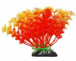 УЮТ Растение аквариумное, 11 см, Амбулия оранжевая, (1х320 шт)