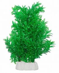 Уют Растение аквариумное Гигрофила, 24-32 см, 1*70