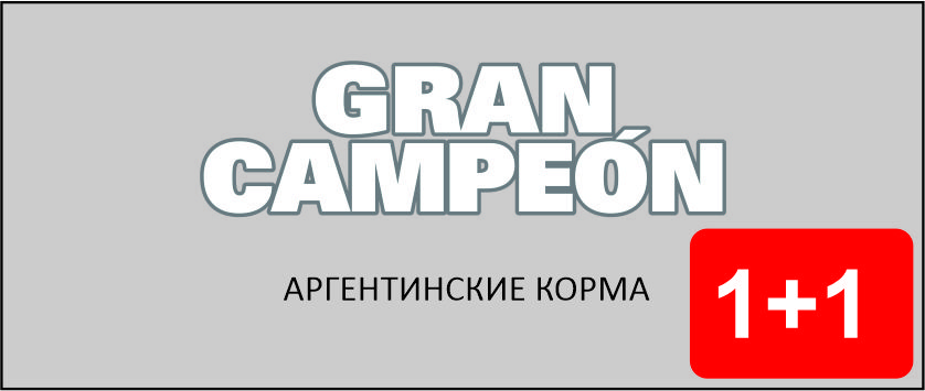 Gran Campeon