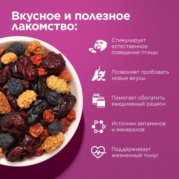 РИО Ягодная смесь.Лакомство д/сред и крупн. попугаев 190 г 1*6